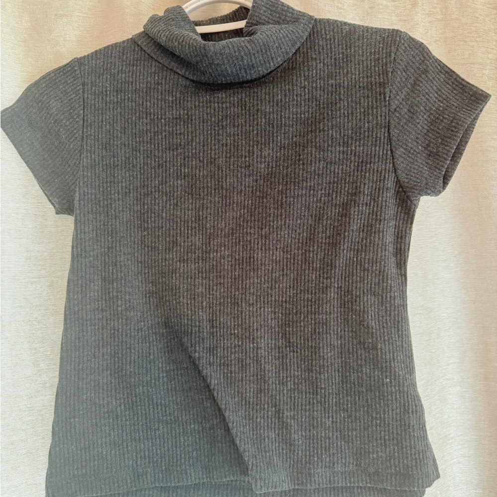 Brandy Melville Gray Ribbed Fitted T-Shirt